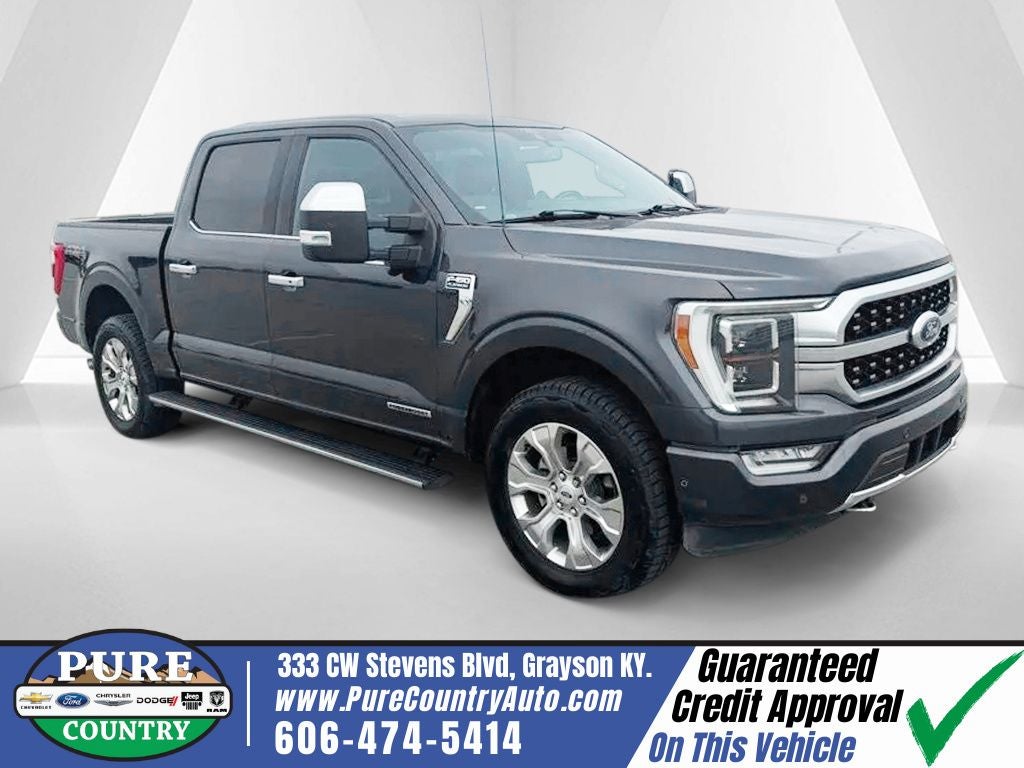 2021 Ford F-150 Platinum