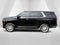 2023 Cadillac Escalade 4WD Premium Luxury